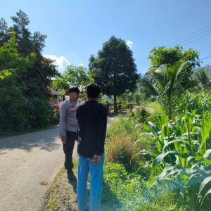 Ketahanan Pangan Diperkuat, Petani Mareje Timur Didampingi Langsung Bhabinkamtibmas