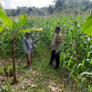 Sinergi Polri dan Petani: Kunjungan Kamtibmas di Dusun Jelateng Timur