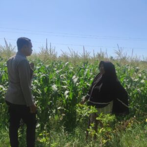 Polri Bersama Masyarakat Desa Rhee Loka Tingkatkan Ketahanan Pangan Lewat Pendampingan Pertanian