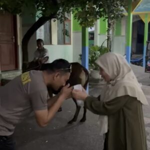 Kapolres Loteng Salurkan Hewan Kurban ke Yayasan Ponpes Qomarul Huda Bagu.