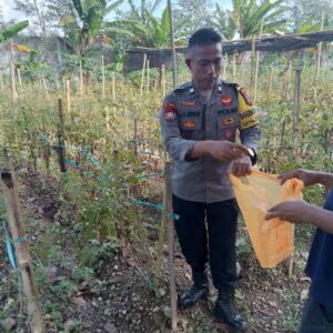 Polres Lombok Tengah Gencarkan Program Pekarangan Bergizi Dukung Ketahanan Pangan Nasional dan Asta Cita Presiden.