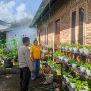 Polres Loteng Tinjau Lahan Pekarangan Pangan Bergizi Milik Warga di Batukliang Utara