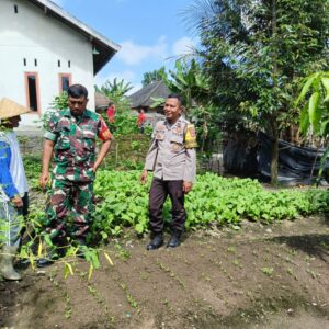 Polres Loteng Tinjau Lahan Pekarangan Pangan Bergizi Milik Warga di Kopang