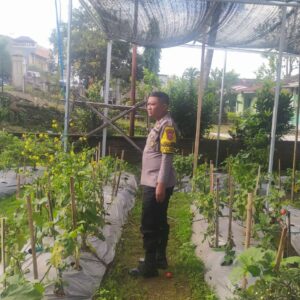 Polres Loteng Tinjau Lahan Pekarangan Pangan Bergizi Milik Warga di Batukliang.
