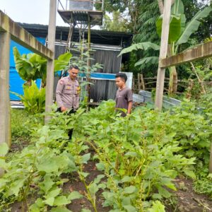 Polres Loteng Apresiasi Masyarakat Manfaatkan Lahan Pekarangan Bergizi.