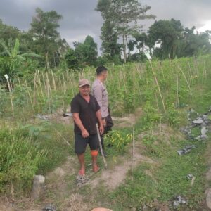 Wujudkan Kemandirian Pangan, Warga Mapak Barat Didorong Tanam Sendiri