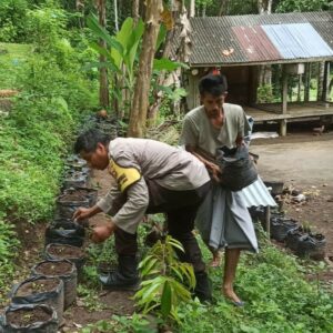 Inovasi Ketahanan Pangan dari Lombok Barat: Optimalisasi Lahan Pekarangan Warga