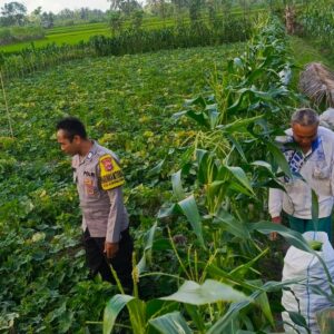 Motivasi Petani Kuripan: Polri Dorong Ketahanan Pangan dari Tingkat Desa