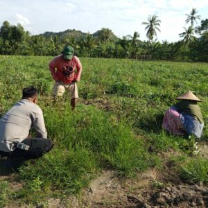 Pemanfaatan Lahan Pekarangan Didorong Bhabinkamtibmas Sekotong Barat