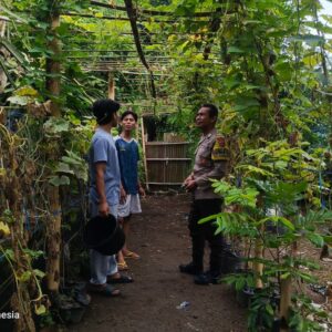 Pemuda Pesongoran Bergerak Wujudkan Kemandirian Pangan