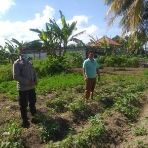 Peran Strategis Polisi Desa Jagaraga dalam Penguatan Ketahanan Pangan