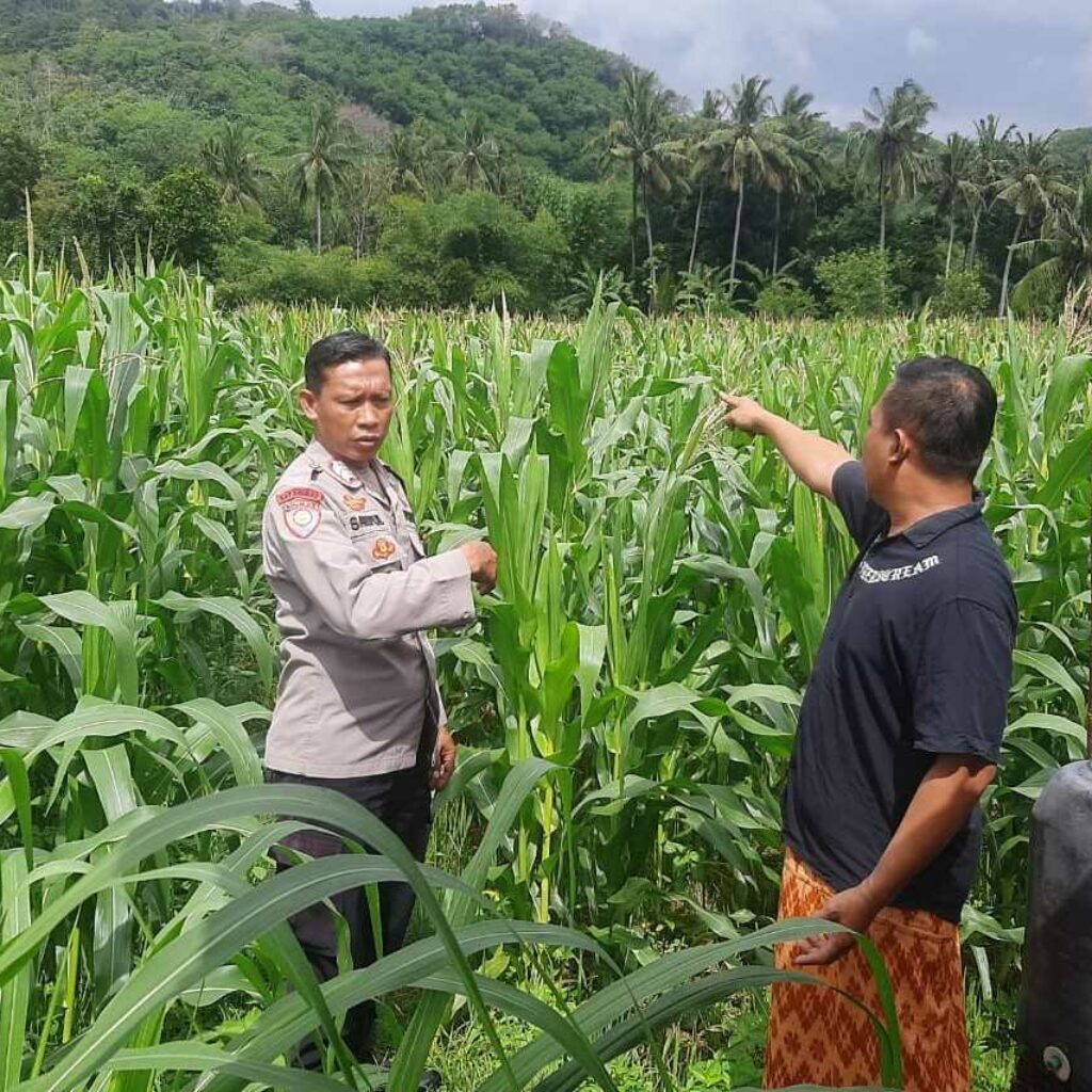Sinergi Polri dan Petani di Lembar, Ketahanan Pangan Jadi Prioritas