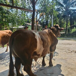 Ketua Bhayangkari Daerah Bengkulu Salurkan Bantuan Kemanusiaan bagi Korban Gempa