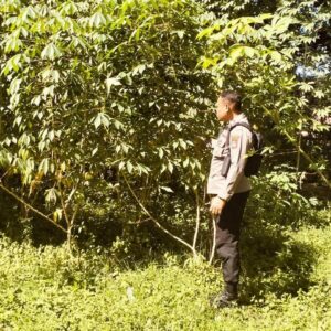 Sambut HUT Bhayangkara Ke-79 Polres Bima dan Polsek Jajaran Menggelar Lomba Ketahanan Pangan Nasional