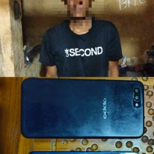 Curi Handphone Saat Korban Tidur, Seorang Pria di Utan Berhasil Diringkus Polisi