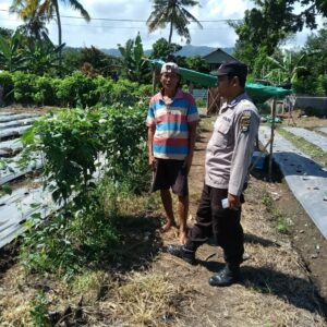 Bhabinkamtibmas Desa Bukit Damai Dampingi Warga Manfaatkan Lahan untuk Tanaman Pangan Bergizi