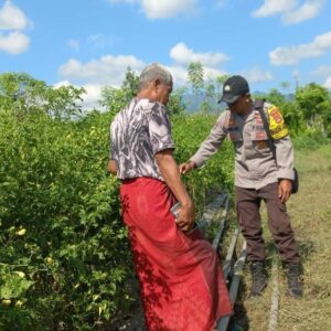 Dukung Penuh Indonesia Yang Swasembada Pangan, Bhabinkamtibmas Polsek Sanggar Pantau Lahan Sayur Milik Warga Binaan