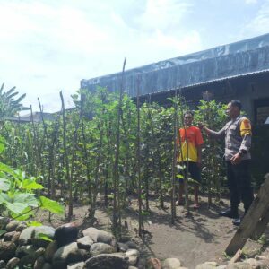 Bhabinkamtibmas Desa Luk Dorong Pemanfaatan Pekarangan untuk Ketahanan Pangan