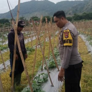 Bhabinkamtibmas Desa Senayan Dampingi Pengelolaan Pekarangan Pangan Bergizi untuk Dukung Ketahanan Pangan