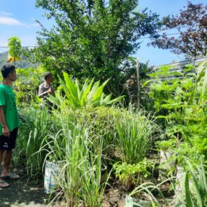 Dukung Ketahanan Pangan, Bhabinkamtibmas Seteluk Atas Rutin Sambangi Lahan Pangan Bergizi Warga