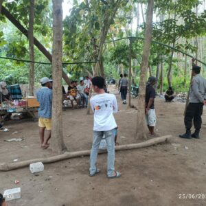 Polsek Lambu Bubarkan dan Bongkar Arena Sabung Ayam di Desa Melayu