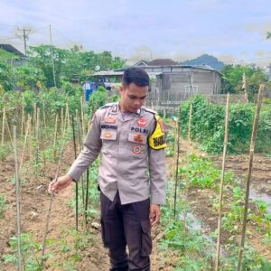 Bhabinkamtibmas Desa Tapir Dampingi Pengelolaan Pekarangan Pangan Bergizi, Dukung Program Asta Cita Swasembada Pangan