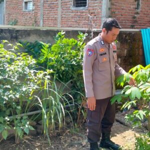 Edukasi Warga Binaan Manfaatkan Lahan Pekarangan Upaya Bhabinkamtibmas Polsek Woha Dukung Ketahanan Pangan Nasional