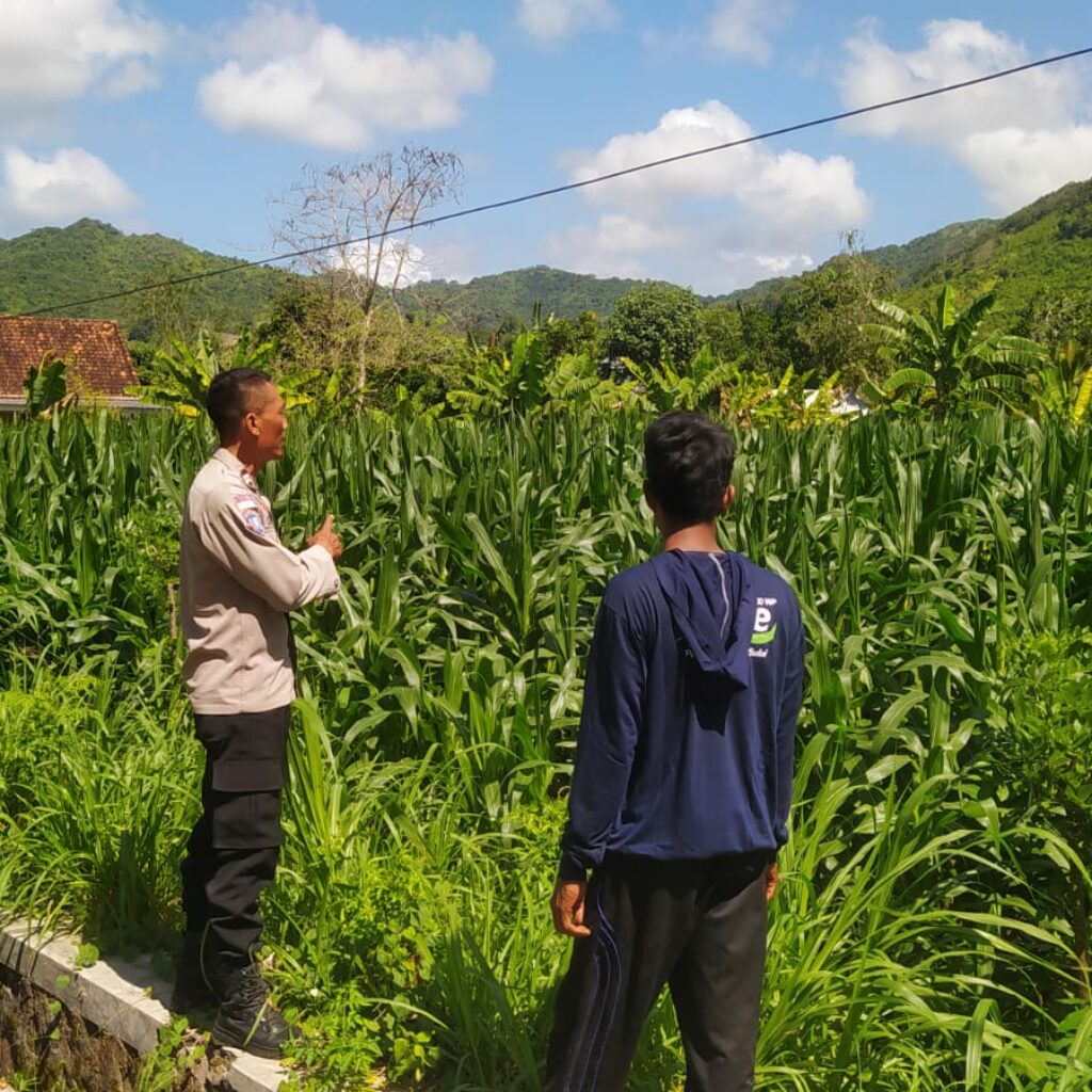 Polri Dampingi Petani di Desa Batu Putih