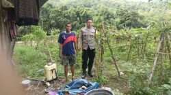 Ketahanan Pangan Dimulai dari Desa: Peran Bhabinkamtibmas di Babussalam
