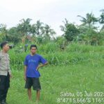 Pekarangan Jadi Lumbung Gizi: Inisiatif Polri di Dusun Sayong, Sekotong