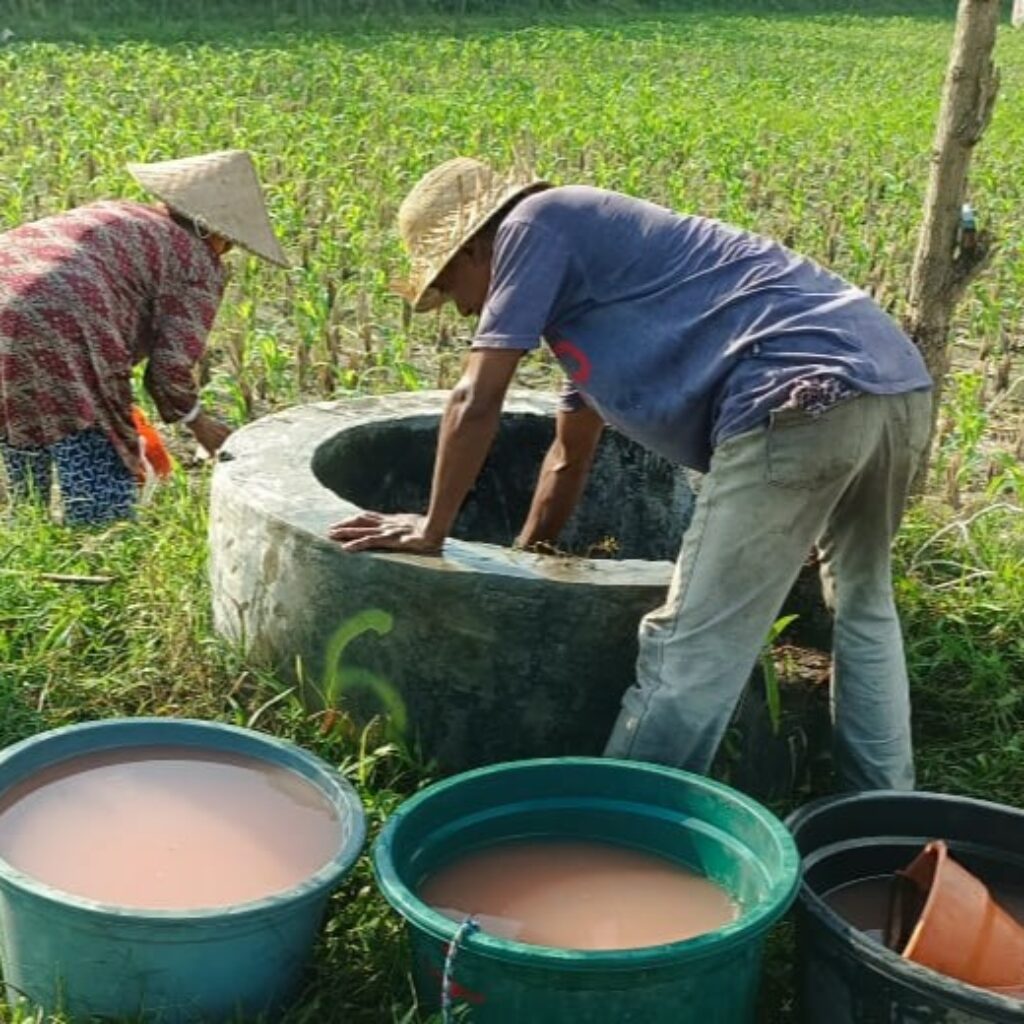 Polsek Gerung Perkuat Ketahanan Pangan Lewat Pendampingan Petani di Babussalam