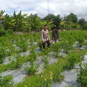 Polri Ajak Petani Dusun Tegal Manfaatkan Lahan Kosong untuk Swasembada Pangan