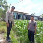 Lahan Kosong Jadi Solusi Pangan: Inisiatif Bhabinkamtibmas Desa Labuapi