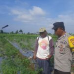 Polsek Kediri Libatkan Bhabinkamtibmas dalam Program Ketahanan Pangan di Desa Montong Are
