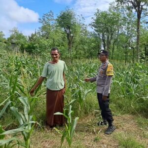 Sinergi Polri dan Warga Sekotong Wujudkan Ketahanan Pangan dari Pekarangan