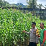 Polsek Sekotong Galakkan Pekarangan Pangan Bergizi di Dusun Pelangan Tengah