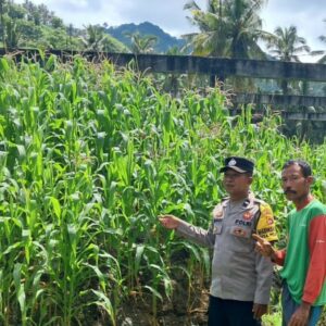 Polsek Sekotong Galakkan Pekarangan Pangan Bergizi di Dusun Pelangan Tengah
