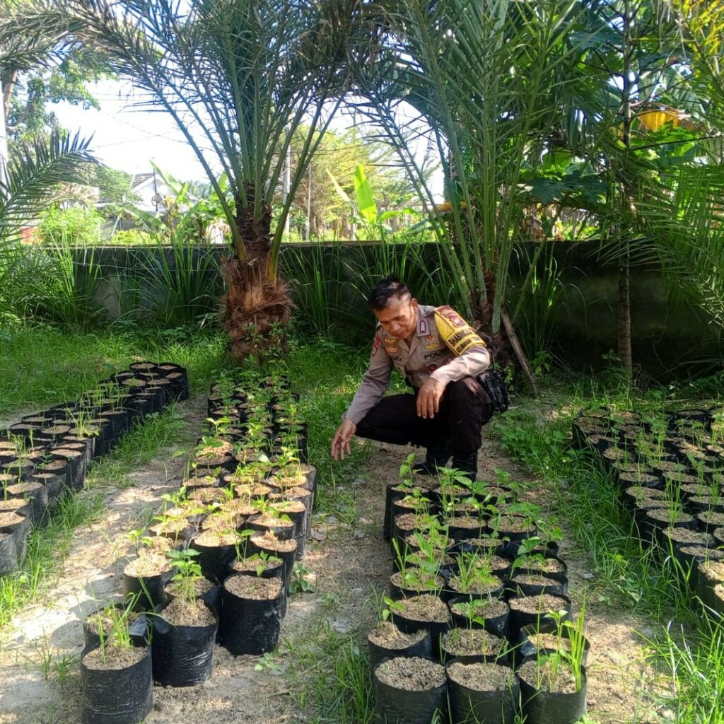 Bhabinkamtibmas Terong Tawah Dorong Ketahanan Pangan Lewat Pemanfaatan Pekarangan