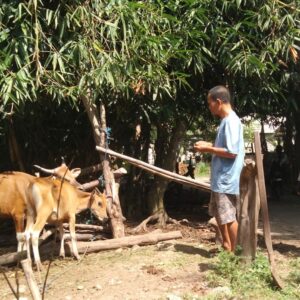 Sinergi Warga & Polisi Bangun Ketahanan Pangan di Batulayar