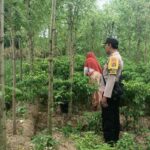 Sinergi Polri dan Petani di Ombe Baru, Perkuat Ketahanan Pangan Lokal