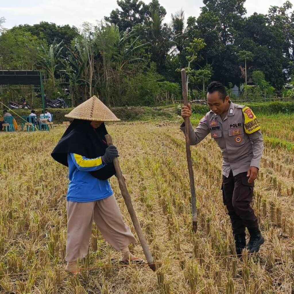 Sosialisasi Pupuk Subsidi Tanpa Biaya oleh Bhabinkamtibmas di Kuripan Utara