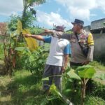 Langkah Nyata Desa Sandik Menuju Kemandirian Pangan Rumah Tangga
