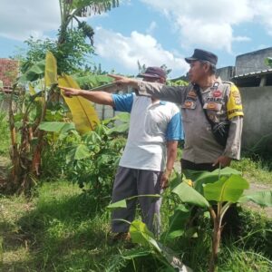 Langkah Nyata Desa Sandik Menuju Kemandirian Pangan Rumah Tangga