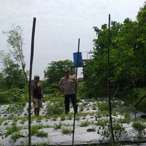 Bersama Petani Desa Jagaraga, Bhabinkamtibmas Bangun Kemandirian Pangan Keluarga