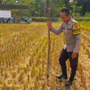 Sinergi Polri dan Petani Dusun Perengge Kuah Dukung Program Pangan Nasional