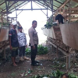 DDS Bhabinkamtibmas di Kuripan Timur, Perkuat Ketahanan Pangan Lokal