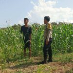 Ketahanan Pangan Dimulai dari Desa: Polsek Sekotong Perkuat Peran Bhabinkamtibmas