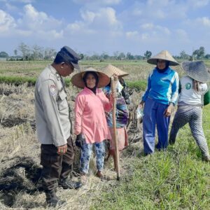 Polisi Ajak Warga Montong Are Tengah Tanam Jagung untuk Ketahanan Pangan