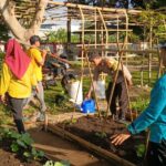 Sinergi Polri–Petani: Optimalisasi Lahan Pekarangan di Desa Kuripan Utara