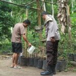 Langkah Nyata Polsek Batulayar Dukung Ketahanan Pangan Rumah Tangga